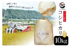 【お中元】米 令和5年 つぶら野米 コシヒカリ 白米 10kg [つぶら野米 山梨県 韮崎市 20743688] こめ コメ お米 精米 こしひかり
