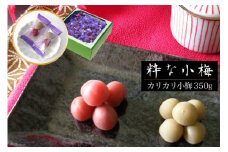 【お中元】【やばいだろ】粋な小梅 350g [山梨農産食品 山梨県 韮崎市 20742594] 梅干し 梅干 うめぼし 梅 小粒 小梅 カリカリ梅 国産 個包装