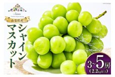 【2025年発送】先行受付 シャインマスカット 2025 予約 3～5房  約 2.2kg 以上 シャイン マスカット 山梨 フルーツ 果物 くだもの マスカット シャイン ブドウ ぶどう 葡萄 種無し 山梨県産 期間限定 季節限定 冷蔵 農福連携 レビューキャンペーン [斎庵 山梨県 韮崎市 20742804]