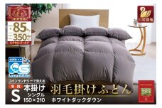 【冬用】 洗える 羽毛布団 かけ布団 冬 本掛け シングル ホワイトダックダウン 85％ 1.2kg 無地 グレー布団 日本製 エクセルゴールドラベル 抗菌 防臭 羽毛 ふとん フトン 寝具 日用品 本掛け 送料無料 コインランドリー 増量 [川村羽毛 山梨県 韮崎市 20742899] 