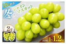 【2025年12月発送】【先行予約】魅惑のおいしさ! 冬のシャインマスカット 2房 (1.0kg～1.2kg相当) [韮崎翠緑 山梨県 韮崎市 20742911] NS-1008 シャインマスカット フルーツ 果物 マスカット シャイン ぶどう 葡萄 種無し