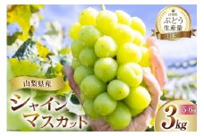 【2025年発送】シャインマスカット2025 予約 約 3kg 5～ 6房 山梨 山梨県産 厳選 フルーツ大国 山梨県 産地直送  フルーツ 果物 マスカット シャイン 2025 先行受付 先行予約 ブドウ ぶどう 葡萄 種無し 3キロ 3kg 数量限定  期間限定 [OUTTA REACH JAPAN 山梨県 韮崎市 20742971]