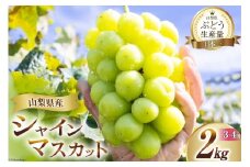 【2025年発送】先行受付 シャインマスカット 山梨 2025 予約 約 2kg 3～ 4房 厳選 フルーツ大国 山梨県 産地直送 フルーツ 果物 マスカット シャイン 先行予約 ブドウ ぶどう 葡萄 種無し 2キロ 2kg 数量限定  山梨県産 [OUTTA REACH JAPAN 山梨県 韮崎市 20742972]