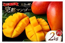 訳あり 八ヶ岳 完熟マンゴー ご家庭用 2㎏ セット [採園 山梨県 韮崎市 20742962] まんごー フルーツ 果物 くだもの 山梨 2キロ 