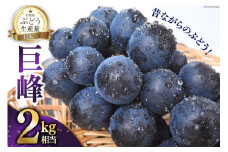 【期間限定発送】昔ながらの ぶどう先行受付 巨峰 約 2kg 2キロ 山梨 やまなし 山梨県産 ぶどう ブドウ 葡萄 フルーツ 果物 くだもの NS-1003 [韮崎翠緑 山梨県 韮崎市 20743062]