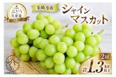 【期間限定発送】【胸キュンをお届け】 シャインマスカット 2房 計1.3kg以上  マスカット シャインマスカット 果物 フルーツ 葡萄 ぶどう ブドウ シャイン 山梨 期間限定 季節限定 数量限定[のすけ農園 山梨県 韮崎市 20743054]