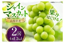 【期間限定発送】 シャインマスカット 2025 予約 2房 約1.2㎏ シャイン マスカット 山梨 山梨県産  シャイン マスカット フルーツ 果物 くだもの ぶどう 葡萄 ブドウ 産直 [鈴木ぶどう園 山梨県 韮崎市 20743034]