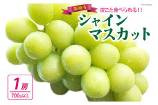 【期間限定発送】【当日収穫！当日出荷！】 シャインマスカット 2025 予約 朝どれ 1房 700g 以上シャイン マスカット 山梨 山梨県産 ぶどう ブドウ 葡萄 山梨 フルーツ 果物 くだもの 産直  [モリモリファーム 山梨県 韮崎市 20743904]