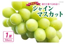 【期間限定発送】【当日収穫！当日出荷！】 シャインマスカット 2025 予約 朝どれ 1房 700g 以上シャイン マスカット 山梨 山梨県産 ぶどう ブドウ 葡萄 山梨 フルーツ 果物 くだもの 産直  [モリモリファーム 山梨県 韮崎市 20743904]