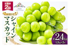 【定期便】 先行受付 シャインマスカット 2025 予約 約 1.2kg 2～ 3房  山梨 定期便2回 フルーツ定期便 フルーツ 果物 くだもの 定期 マスカット シャイン 葡萄 ぶどう ブドウ 山梨県産 冷蔵 農福連携 レビューキャンペーン [斎庵 山梨県 韮崎市 20743907]