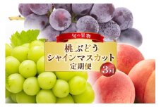 フルーツ 定期便 3回 山梨 旬な果物 大満足3種セット 桃 2.2kg(6〜10玉) ぶどう 900g(2房) シャインマスカット 1.2kg(2房) [斎庵 山梨県 韮崎市 20743911] フルーツ定期便 果物 くだもの 定期 マスカット シャイン 葡萄 ぶどう ブドウ 巨峰 ピオーネ もも momo