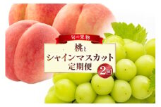 フルーツ 定期便 2回 山梨 旬な果物 人気の2種セット 桃 2.2kg(6〜10玉) シャインマスカット 1.2kg(2房) [斎庵 山梨県 韮崎市 20743912] フルーツ定期便 果物 くだもの 定期 マスカット シャイン 葡萄 ぶどう ブドウ もも momo