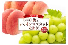 フルーツ 定期便 2回 山梨 旬な果物 お試しセット 桃 1.1kg(3〜5玉) シャインマスカット 600g(1房) [斎庵 山梨県 韮崎市 20743913] フルーツ定期便 果物 くだもの 定期 マスカット シャイン 葡萄 ぶどう ブドウ もも momo