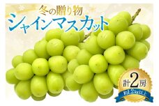 ★冬の贈り物★冬のシャインマスカット【600g以上×2房】約1.2kg以上 [元気農園 山梨県 韮崎市 20744952] シャイン マスカット フルーツ くだもの 果物 ぶどう 葡萄 ブドウ 山梨