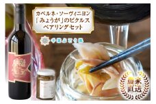 赤 ワイン 中口 辛口 赤ワイン カベルネ・ソーヴィニヨン 「みょうが」のピクルス セット 山梨ワイン 山梨 ワインセット 詰め合わせ ソーヴィニヨン みょうが ピクルス ペアリング おつまみ ツクルジョ [千葉ぶどう園 山梨県 韮崎市 20744981] 