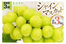 【2025年発送！先行予約！】韮崎翠緑セレクト！シャインマスカット定期便 約1.0kg×3回 NS-1020 [韮崎翠緑 山梨県 韮崎市 20744987] シャインマスカット シャイン マスカット ぶどう ブドウ 葡萄 マスカット 種なし 果物 フルーツ 山梨県産