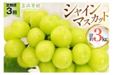 【2026年発送！先行予約！】韮崎翠緑セレクト！シャインマスカット定期便 約1.0kg×3回 NS-1020 [韮崎翠緑 山梨県 韮崎市 20744987] シャインマスカット シャイン マスカット ぶどう ブドウ 葡萄 マスカット 種なし 果物 フルーツ 山梨県産