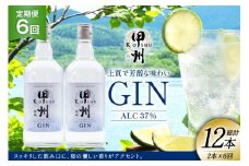 【定期便6回】甲州韮崎 ジン 700ml×2本 ジントニック ハイボール 甲州韮崎 ジン セット 酒 お酒 洋酒 地酒 スピリッツ 蒸留酒 国産 カクテル JIN ソーダ割り ソーダ アルコール 37％ ボタニカル GIN ライム  [株式会社マツムラ酒販 山梨県 韮崎市 20744985]