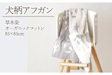 2.2-9-14 犬柄アフガン　ALPDA003