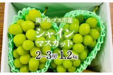 南アルプス市産　シャインマスカット2房～3房（約1.2キロ）クール便発送 ALPAG007