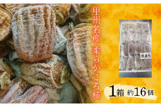 甲州名産　柔らかころ柿 ALPCM002 / ころがき　枯露柿　山梨県　南アルプス市　ALPCM002