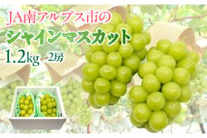 ★TBSテレビ系列「ひるおび」で取り上げられました！★＜2026年発送先行予約＞絶品！南アルプス市産シャインマスカット1.2kg ALPAA003 ｜ 山梨 山梨県 ぶどう 葡萄 ブドウ マスカット 種なし 大粒 フルーツ くだもの 果物 高級 新鮮 産地直送 贈答 ギフト 家庭用  1.2キロ 2026年 JA JA南アルプス市 南アルプス |