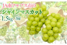 ★TBSテレビ系列「ひるおび」で取り上げられました！★＜2026年発送先行予約＞絶品！南アルプス市産シャインマスカット1.5kg 山梨 山梨県 ぶどう 葡萄 ブドウ マスカット 種なし 大粒 フルーツ くだもの 果物 高級 新鮮 産地直送 贈答 ギフト 家庭用  1.5キロ 2026年