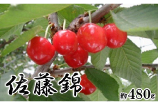 【2025年／令和7年発送先行予約】ハウスさくらんぼ「佐藤錦」約480ｇ ALPAA008