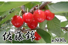 【2025年／令和7年発送先行予約】さくらんぼ「佐藤錦」約800ｇ ALPAA009