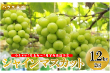 【2025年／令和7年発送先行予約】ぶどう「ハウスシャインマスカット」約1.2ｋｇ ALPAA011