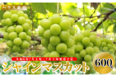 ＜2026年発送先行予約＞ぶどう「ハウスシャインマスカット」約600ｇ ALPAA012