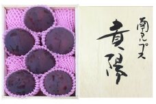 【2025年／令和7年発送先行予約】特選！すもも「貴陽」約1.6ｋｇ桐箱 ALPAA021