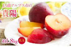 【2025年／令和7年発送先行予約】すもも「貴陽」大玉約1.8ｋｇ ALPAA023