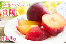 【2025年／令和7年発送先行予約】すもも「貴陽」約1.8ｋｇ ALPAA024