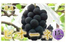 【2025年／令和7年発送先行予約】ぶどう「ピオーネ」約1.5ｋｇ ALPAA018
