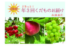 【先行予約】【大人気フルーツ】年3回くだもの定期便セットB（さくらんぼ、桃、シャインマスカット）　 ALPAJ013
