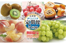 【2025年発送先行予約】山梨県産 定期便5回送り　南アルプスの果物セット ALPAI038
