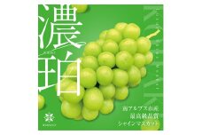 ＜2025年発送分先行予約＞山梨県南アルプス市産シャインマスカット　濃珀【～KOHAKU～】約1.8ｋｇ　3～5房入り ALPAH026