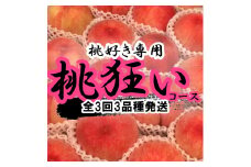 ＜2025年発送分先行予約＞山梨県南アルプス市産　桃狂い　【旬の桃3種】　旬を迎えた順から発送　【定期便　約1ｋｇ　全3回】 ALPAH022