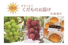 【先行予約】年３回フレッシュフルーツ定期便（クイーンニーナ、シャインマスカット、柿）　 ALPAJ015