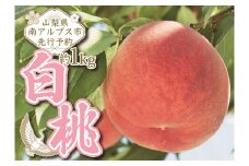1-1-154【令和4年7月下旬から9月下旬発送予定】山梨県南アルプス市産完熟桃　白桃系　約1kg（２～５玉）　ALPEJ003