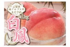 1-1-155【令和４年7月上旬から8月上旬発送予定】山梨県南アルプス市産完熟桃　白鳳系　約1kg（２～５玉）　ALPEJ004