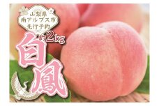 1.3-1-7【令和４年7月上旬から8月上旬発送予定】山梨県南アルプス市産完熟桃　白鳳系　約2kg（4～8玉）　ALPEJ006