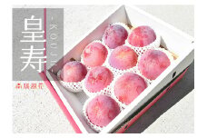 【先行予約】高級スモモ【皇寿】1.8kg 相当　 ALPAJ017