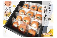 ＜2025年発送分先行予約＞【無添加種なし】平たねあんぽ柿12個入 ALPAJ028　| | フルーツ くだもの 果物 柿 かき カキ 山梨 南アルプス |