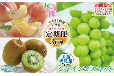  【2025年発送先行予約】山梨県産 定期便3回送り　南アルプスの果物セット ALPAI033