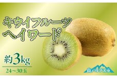 ＜2025年発送先行予約＞キウイフルーツ「ヘイワード」24～30玉入り 約3kg ALPAA027