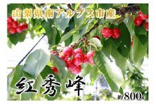 【2025年／令和7年発送先行予約】さくらんぼ「紅秀峰」約800ｇ ALPAA010
