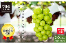 【2025年先行予約_7月上旬～発送】山梨県産早期出荷シャインマスカット ２．０ｋｇ以上／箱　３～５房入 ALPAK012｜おすすめ 人気 山梨県 産地直送 フルーツ 果物 くだもの ブドウ ぶどう シャイン マスカット くだもの 国産 葡萄 新鮮