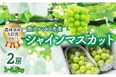 【2025年先行受付】【農林水産大臣賞受賞!!】シャインマスカット 2房 1～1.5kg　ALPAS004